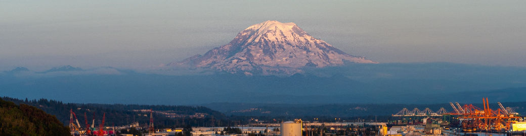 Ali Mills Top real estate agent in Issaquah
