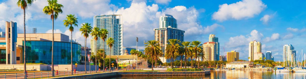 Hanna Cozad Top real estate agent in St. Petersburg