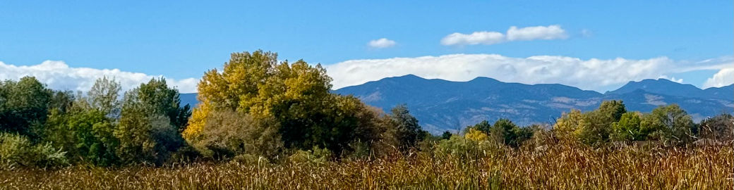 Meredith Rowe Top real estate agent in Denver