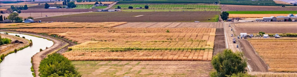 Luz Martinez Top real estate agent in Caldwell