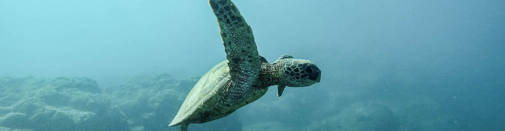 Nicole Gill Top real estate agent in Slidell