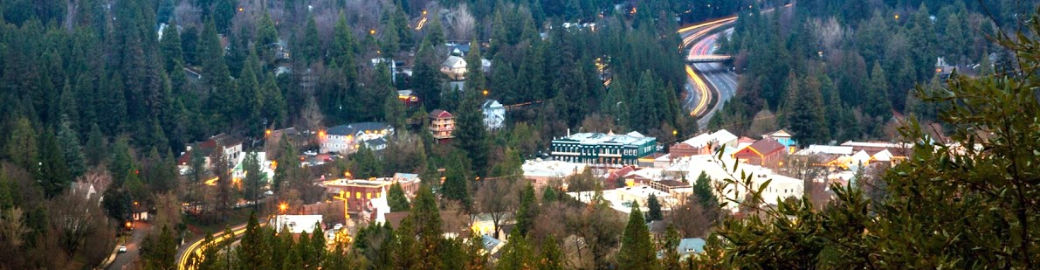 Nancy Neville Top real estate agent in Grass Valley