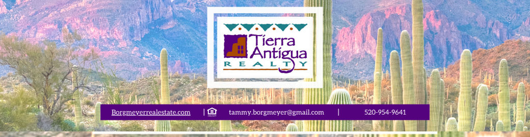 Tammy Borgmeyer Top real estate agent in Tucson