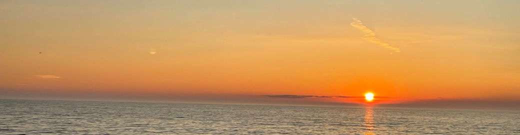 George Sperlbaum Top real estate agent in Charleston