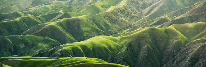 Kayla Carmody Top real estate agent in Temecula