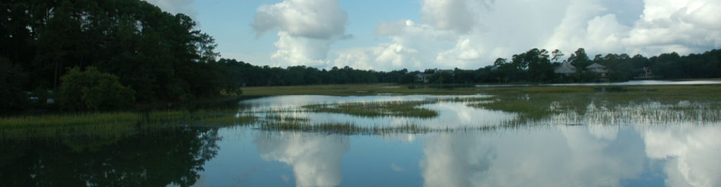 CARL KRATZ Top real estate agent in Bluffton