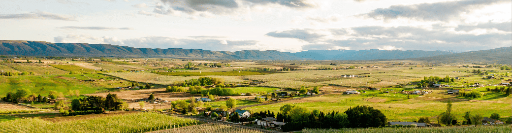 Bob Schefter Top real estate agent in Yakima