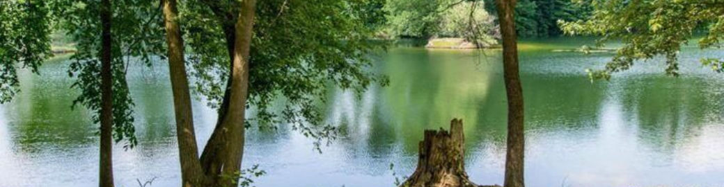 Shara Grachek Top real estate agent in Lansing