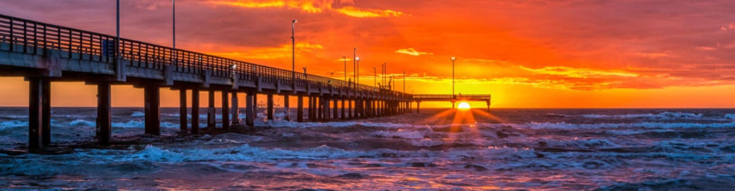 Kim Warner Top real estate agent in Lillian