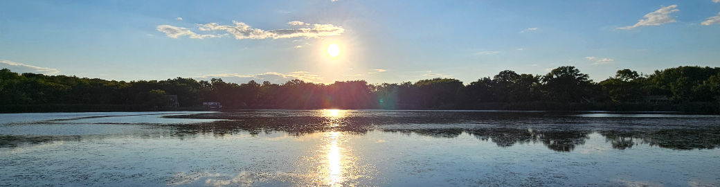 John Mentis Top real estate agent in Arlington