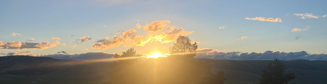 Stacie Roberts Top real estate agent in Hamilton