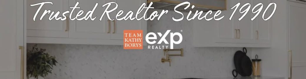 Kathy Borys Top real estate agent in White Bear Lake