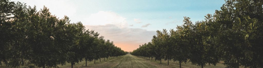 Zane Fikany Top real estate agent in Las Cruces