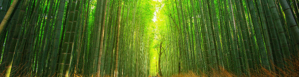 Carol Walterscheidt Top real estate agent in Horseshoe Bay