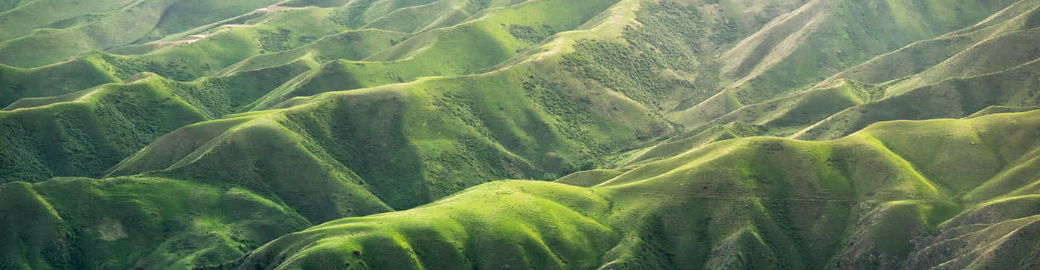 Christine Gallegos Amy Boaman Top real estate agent in Lafayette