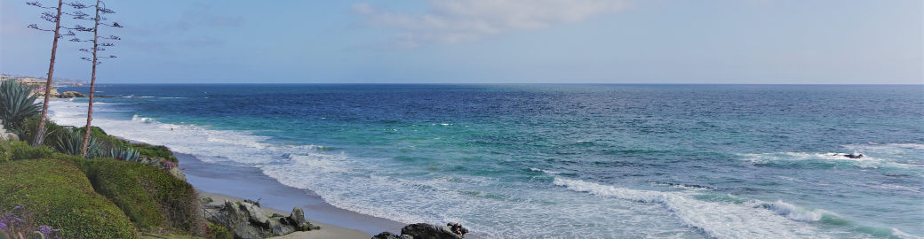 Patti Gregory Top real estate agent in Newark