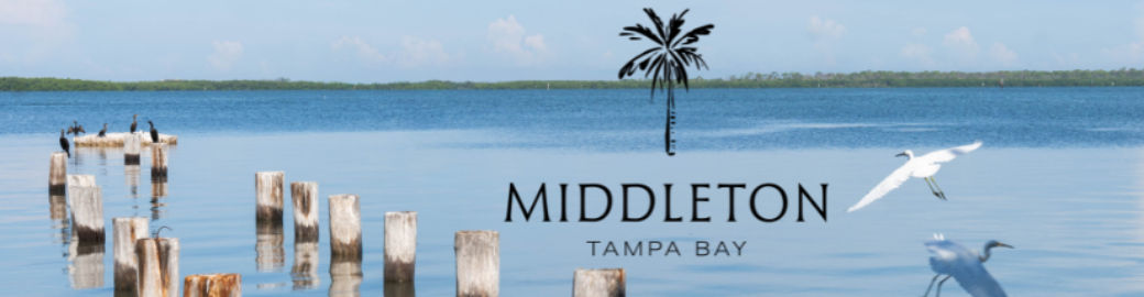 Mark Middleton Top real estate agent in Dunedin