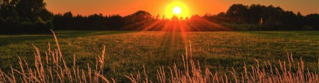 Hector Hernandez Top real estate agent in Scottsdale