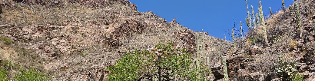 Jennifer Repscher Top real estate agent in Tucson