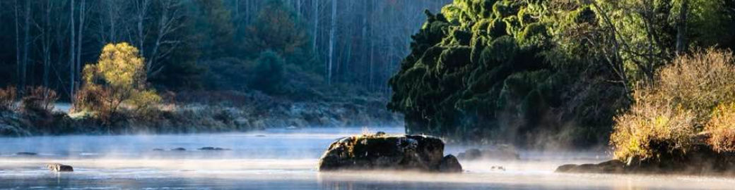 Beverly Black Top real estate agent in West Jefferson