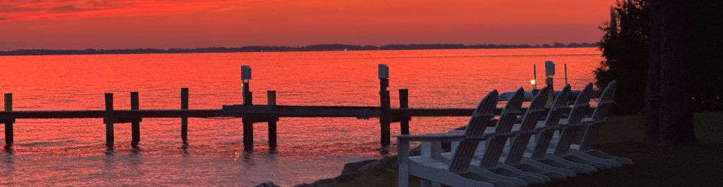 Kim Simpson Top real estate agent in Royal Oak