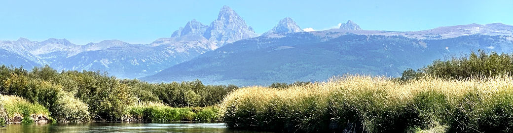 Lauretta Welch Top real estate agent in Jackson