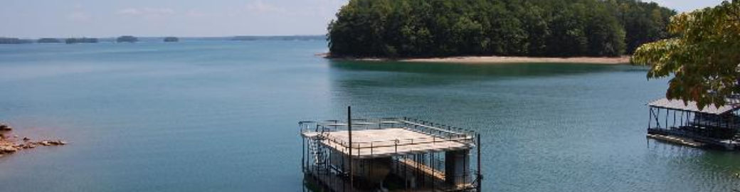 Mickey Hyams Top real estate agent in Cumming