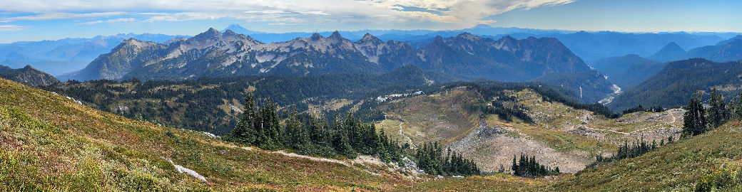 David Stein Top real estate agent in Seattle