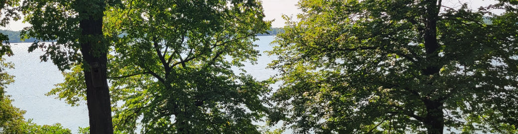 Anthony Groff Top real estate agent in Forest Lake