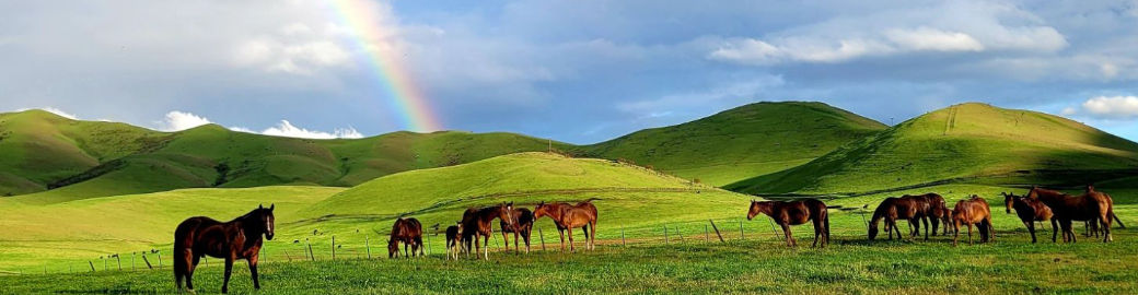 Michael Hegland Top real estate agent in Meridian