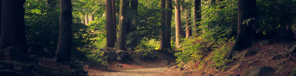 Javier Reyes Top real estate agent in Bethlehem