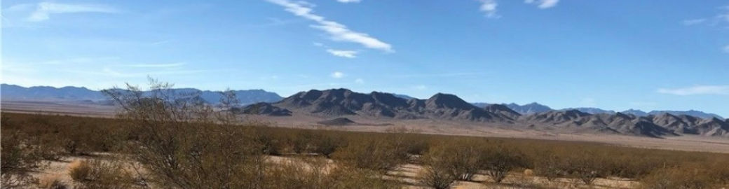 Byron Whitaker Top real estate agent in Kingman