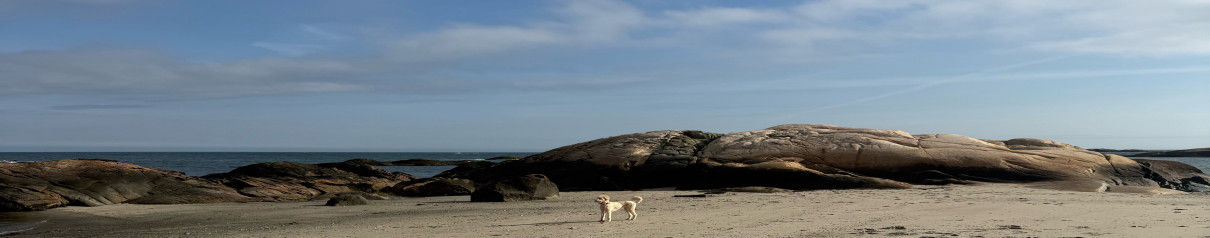 Brittany Cogliano Top real estate agent in Hanover