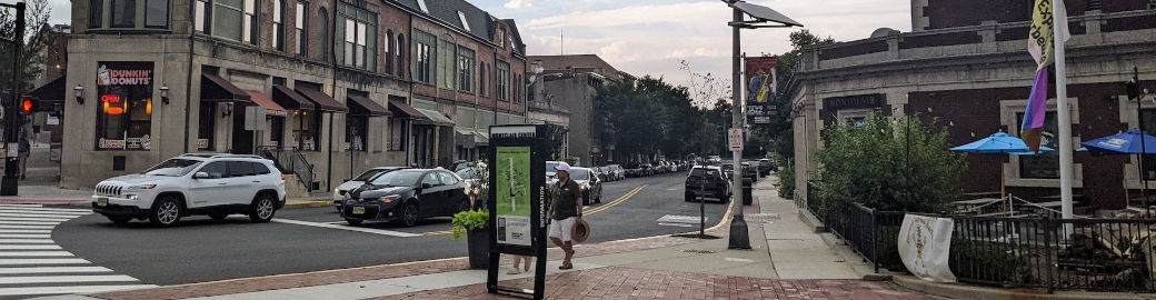 Karin Diana Top real estate agent in Montclair