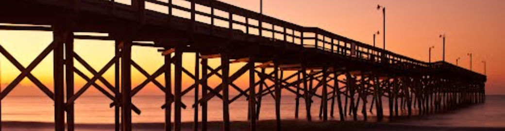 Lisa Ragland Top real estate agent in Supply