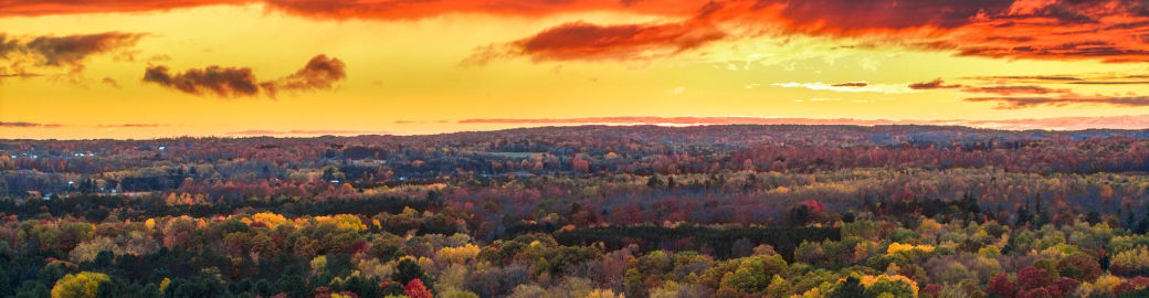 Holly Abner Top real estate agent in Morley