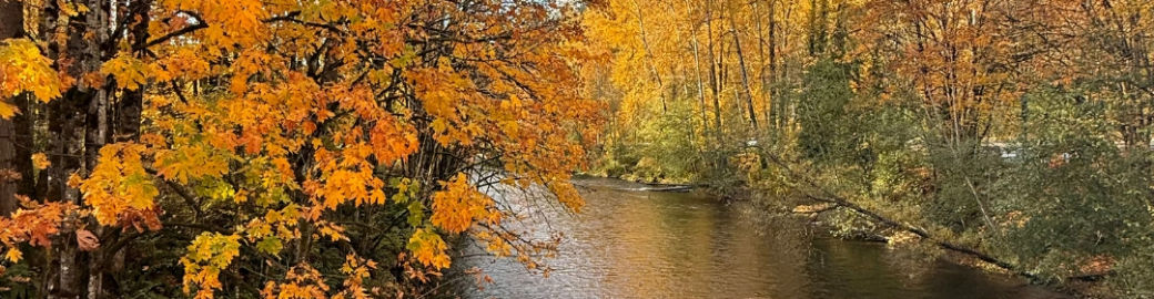 Liz Nguyen Top real estate agent in Renton