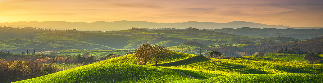 Doyle Spencer Top real estate agent in Tomball