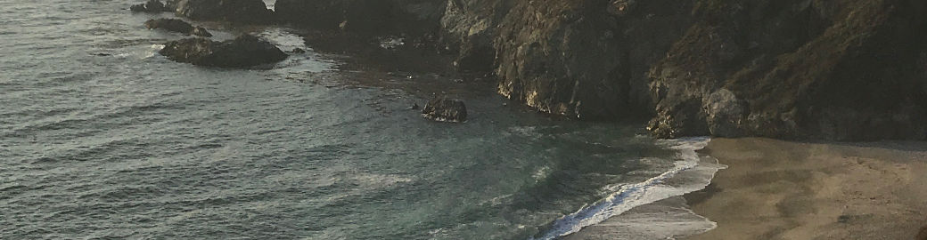 Brian Wellikson Top real estate agent in Aptos