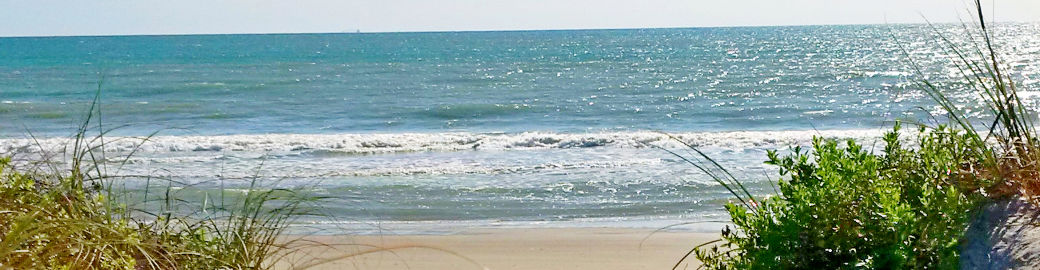 Terry Palmiter Top real estate agent in Melbourne