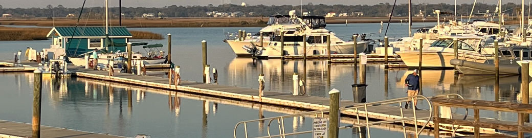 Telena Wallace Top real estate agent in Jacksonville