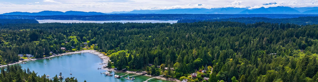 Danny Varona Top real estate agent in Bainbridge Island