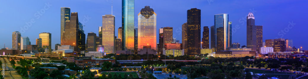 Beth Lovell Top real estate agent in Spring