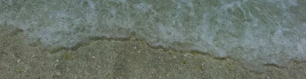 Diana De La Cruz Top real estate agent in Bradenton