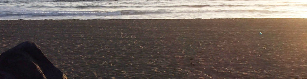 Michael Wolf Top real estate agent in San Diego