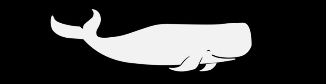 Chris Schwarz and Tim Loomis Top real estate agent in New Smyrna Beach