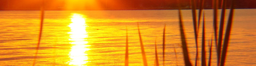 Wendy Jackson Top real estate agent in Lakeview