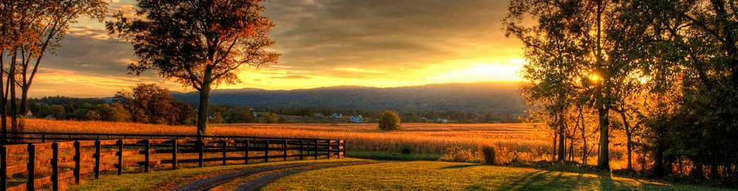 Sue Smith Top real estate agent in Reston