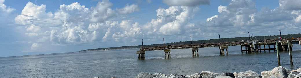 Brian Watson Top real estate agent in St Simons Island