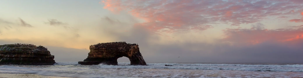 Shannon Shaffer Top real estate agent in Santa Cruz